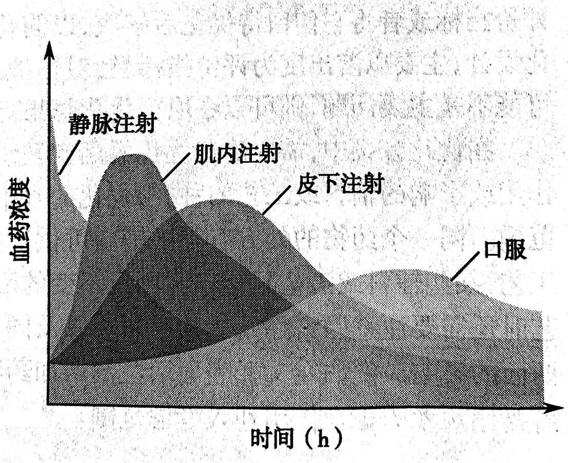 20190419332635.jpg