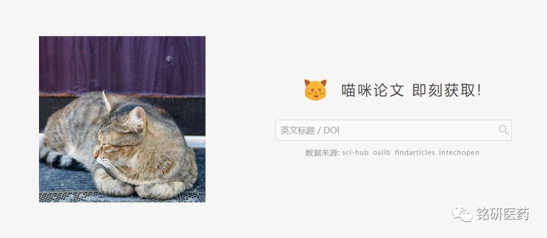 20190506116577.jpg