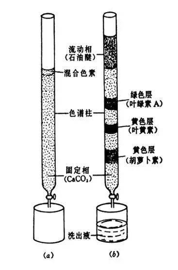 微信图片_20191104123136.jpg