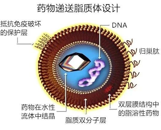 微信图片_20230814101921.jpg