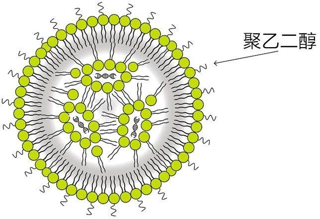 微信图片_20230814101921_2.jpg