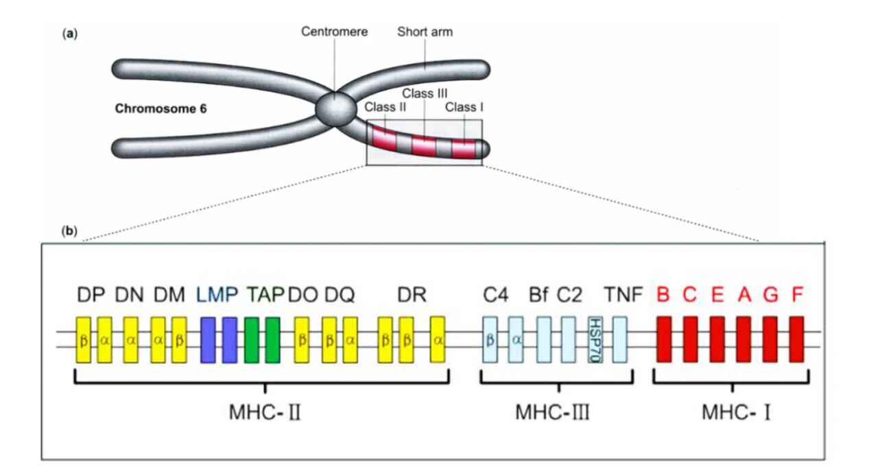 1771898917.jpg 微信图片_2026-02-24_100635_414.jpg